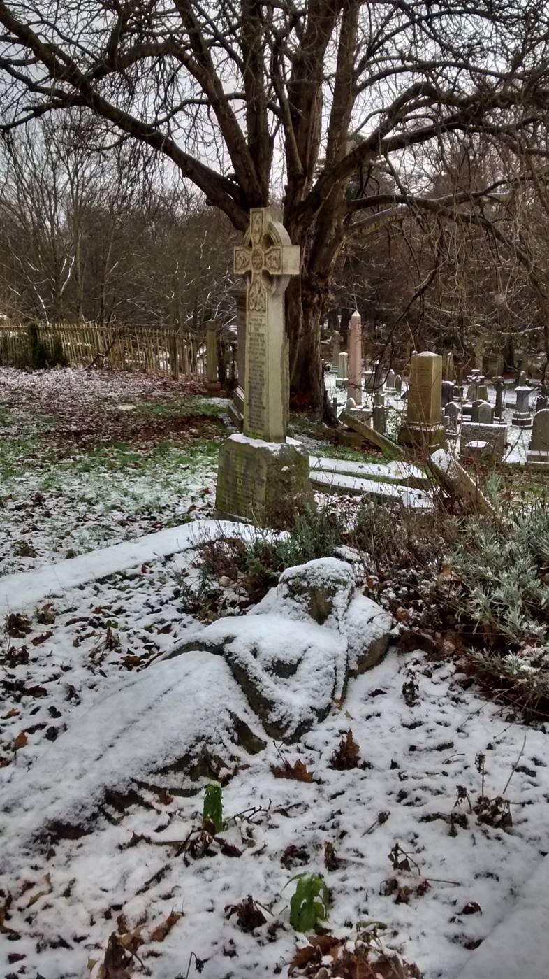 26063690_10155532759768025_854801714974267320_o