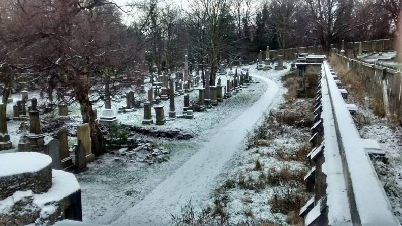 26173458_10155532759673025_3935140512582013007_o