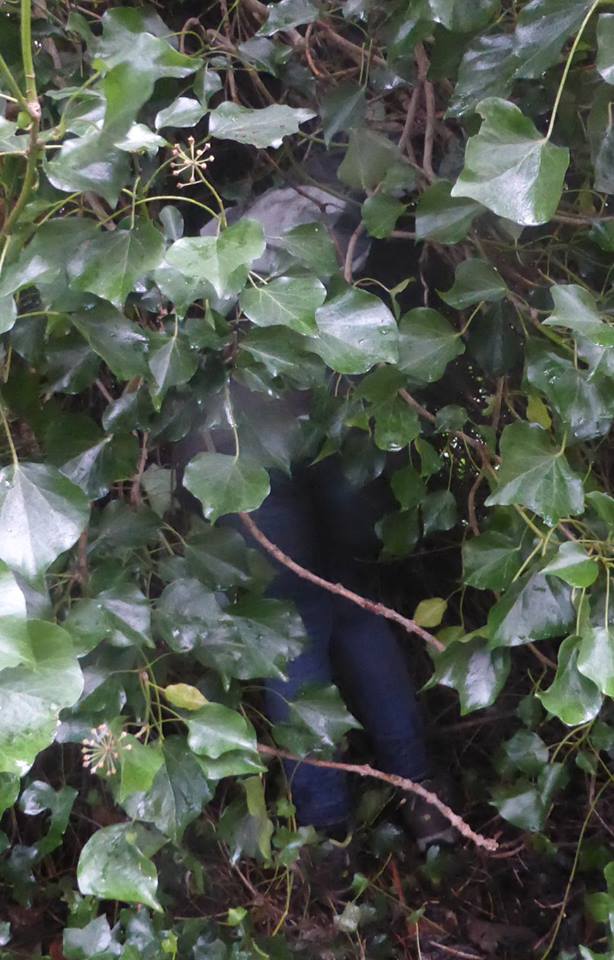 26112240_1808204639199289_2045134264520501038_n