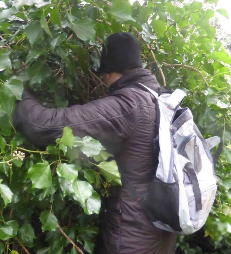 26165384_1808203425866077_905229470468763493_n