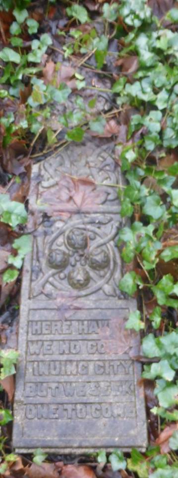 26165998_1808208152532271_5161078860157504957_n