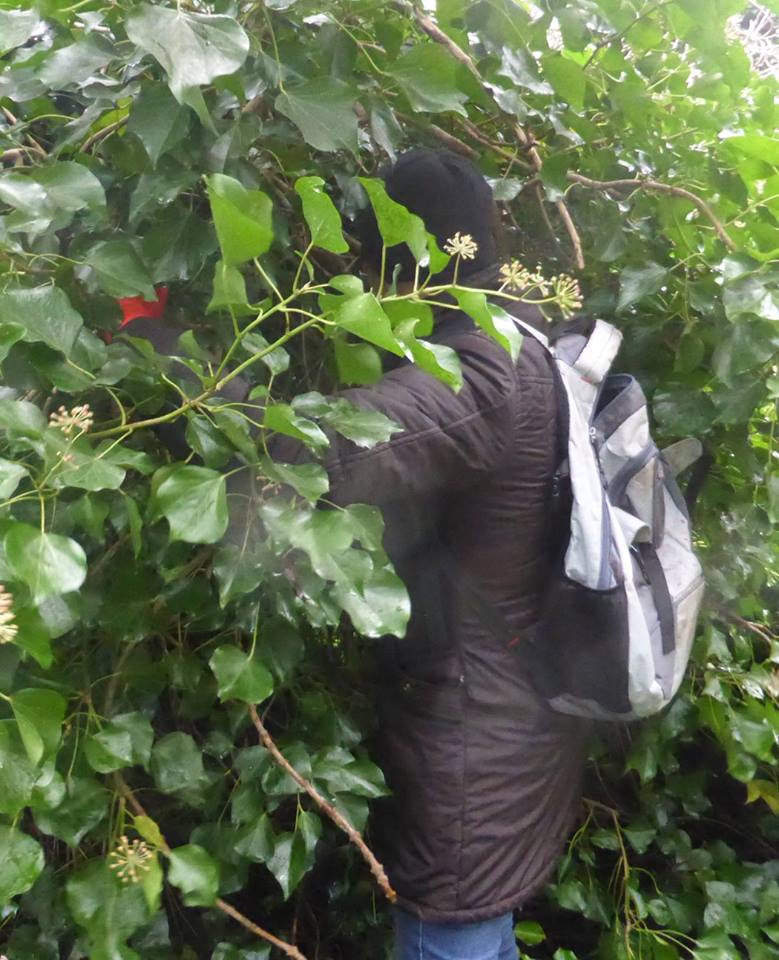 26166490_1808203755866044_6808043521658446246_n