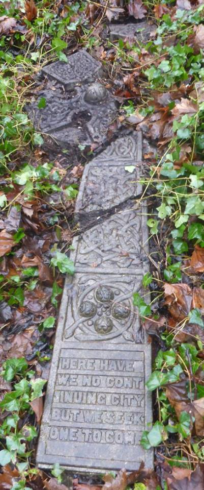 26170028_1808208985865521_291397828235670595_n