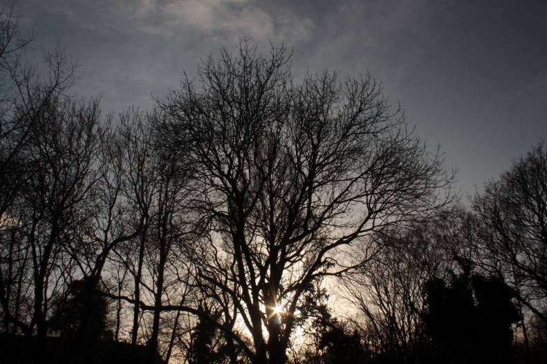 26172332_10155545421433025_385899048219469087_o