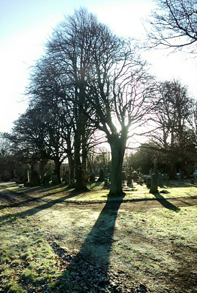 26195664_10155557879403025_5570679356739713466_n