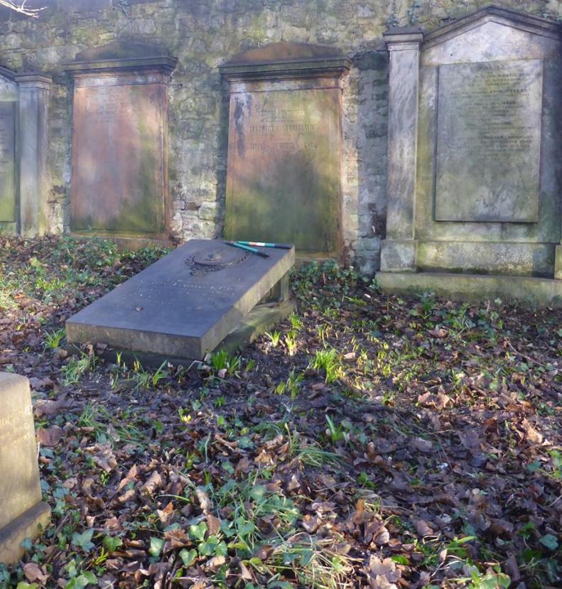 26196120_1814523471900739_5251565526929503384_n