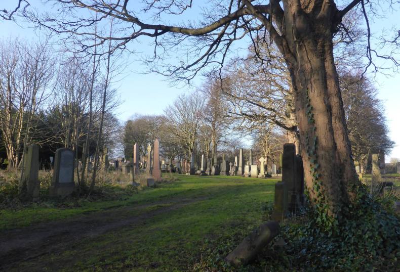 26197907_1814521061900980_1122132912290092258_o