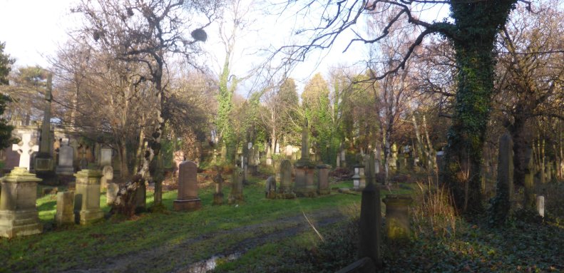 26198486_1808213372531749_8682486986216380157_o