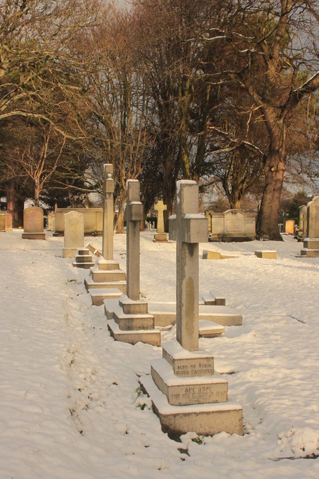 26220054_10155578617038025_7534179454669204557_n