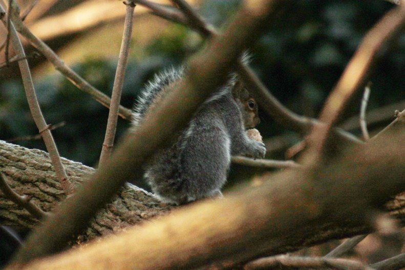 26220537_10155557879783025_3338929206517882762_o