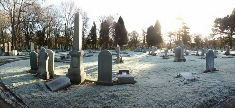 26220942_10155557879563025_2449415942644116508_o