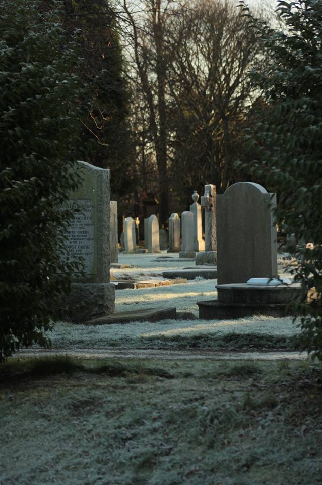 26230706_10155557879693025_2134413545612007077_n