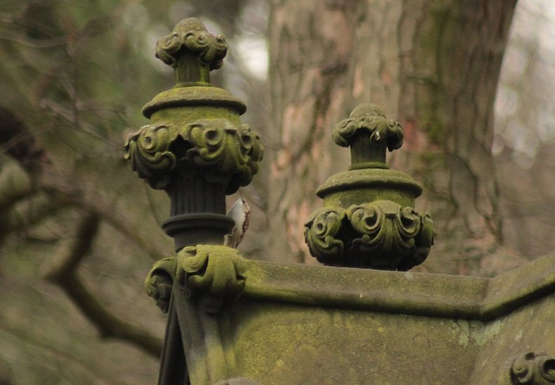 26233176_10155564500043025_6655236012650773073_o