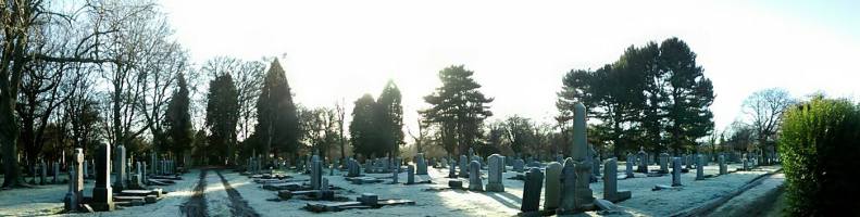 26233767_10155557879378025_7866017068159395695_o