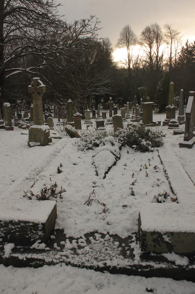 26239335_10155578616263025_5072953491224010304_n