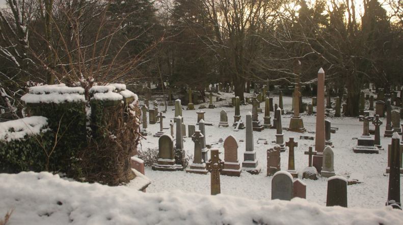 26758142_10155578616258025_9010886079555421775_o