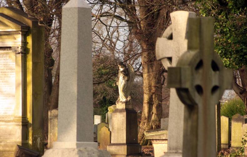 26758641_10155580943233025_3806207076059179614_o