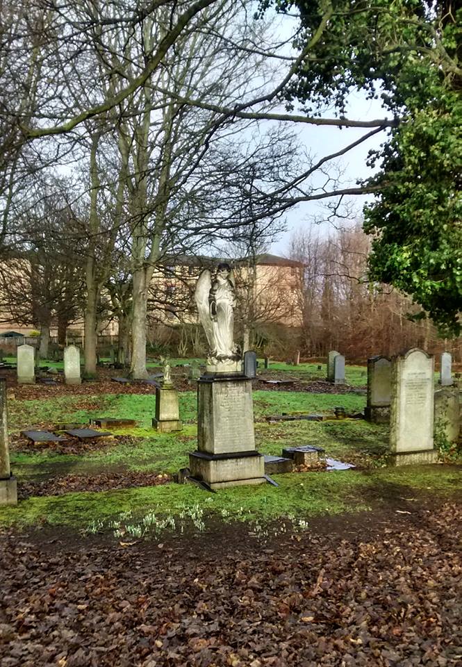 26907275_10155576060463025_3482530611241791398_n