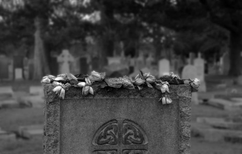 27503432_10155612825938025_889703034663293788_o