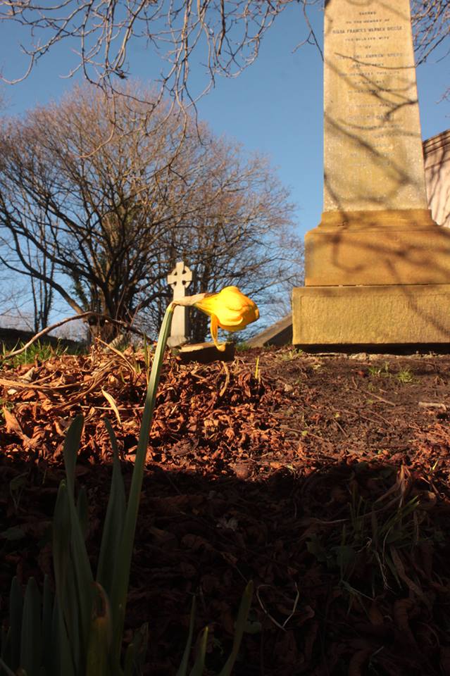 27337274_10155623729408025_7672756786440345143_n