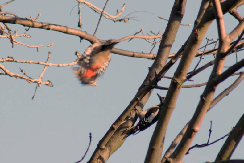 27356494_10155623620888025_7061045942876767400_o