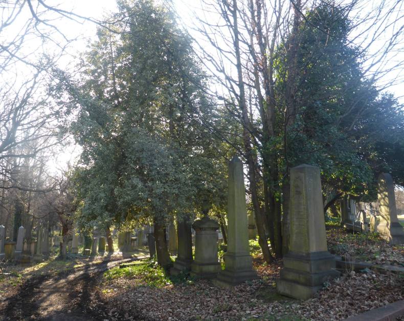 27368344_1847342991952120_916780938640714375_o