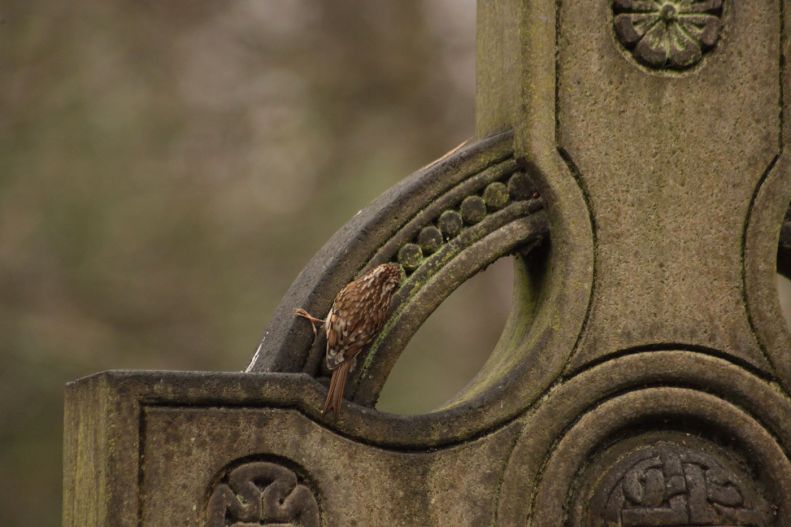 27625481_10155631475708025_2262295209854879226_o