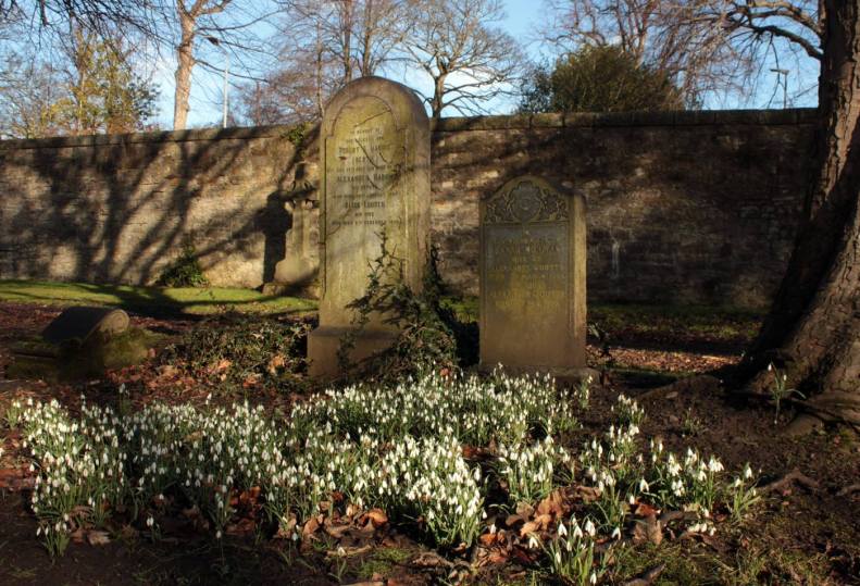 27747601_10155647433998025_3264522269043054835_o