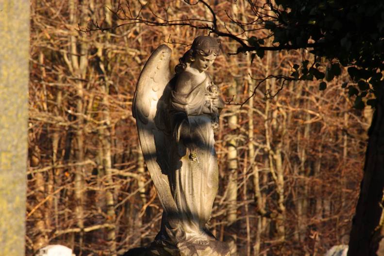 27747987_10155647433923025_3727011104933661339_o