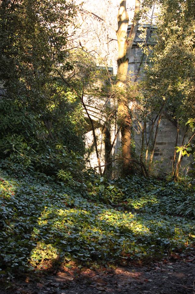 27750208_10155647433608025_6870038152049232081_n