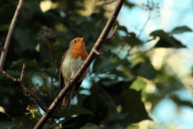 27788181_10155642726643025_2747889089669492390_o