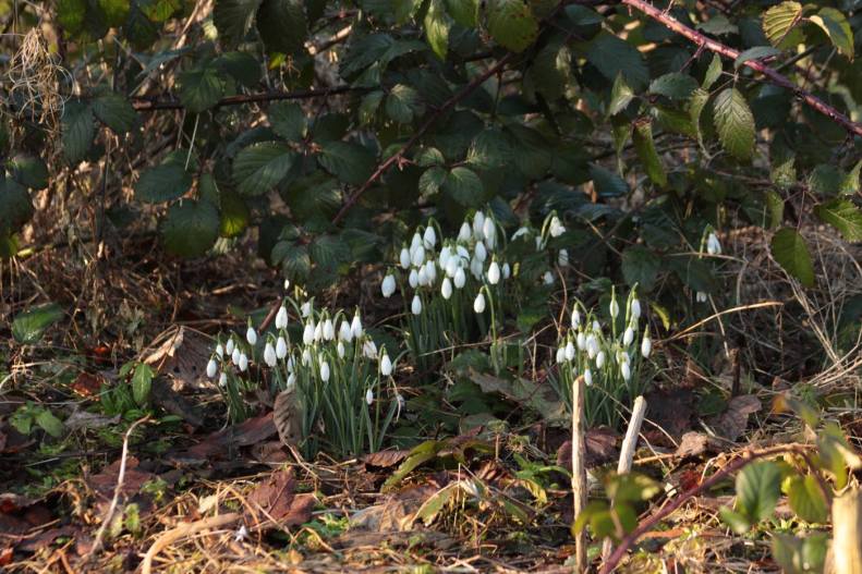 27788771_10155642726653025_5623306882010394838_o