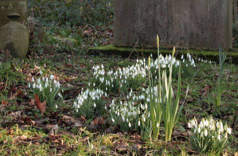 27797778_10155647433583025_6254821902243132881_o