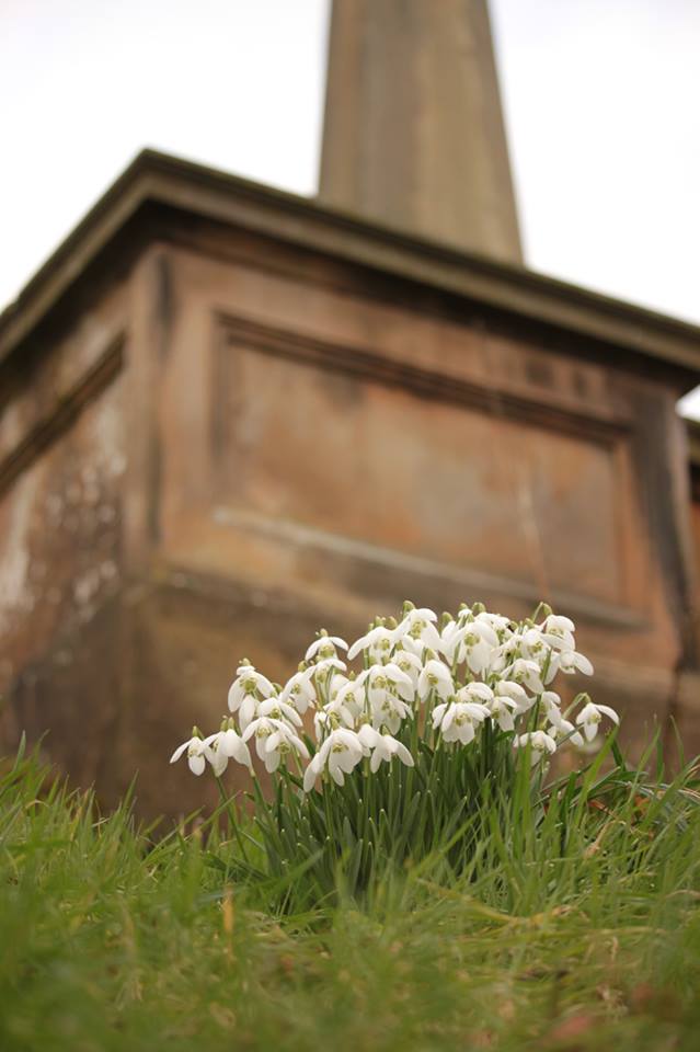 27973265_10155661173918025_2616671143450315176_n