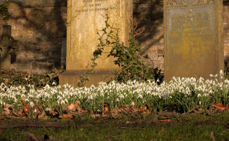 27982721_10155661173968025_4303090642128558349_o