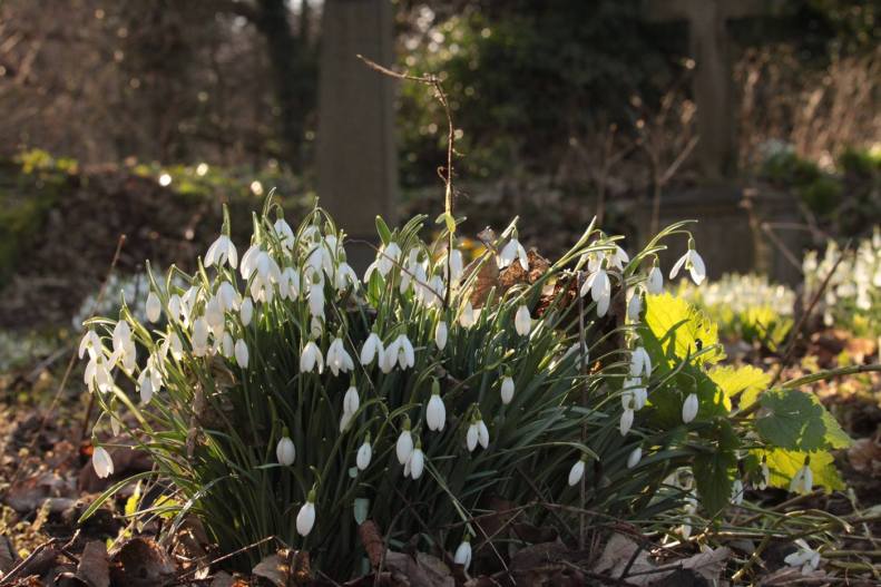 27982928_10155665876803025_7152744822976857337_o