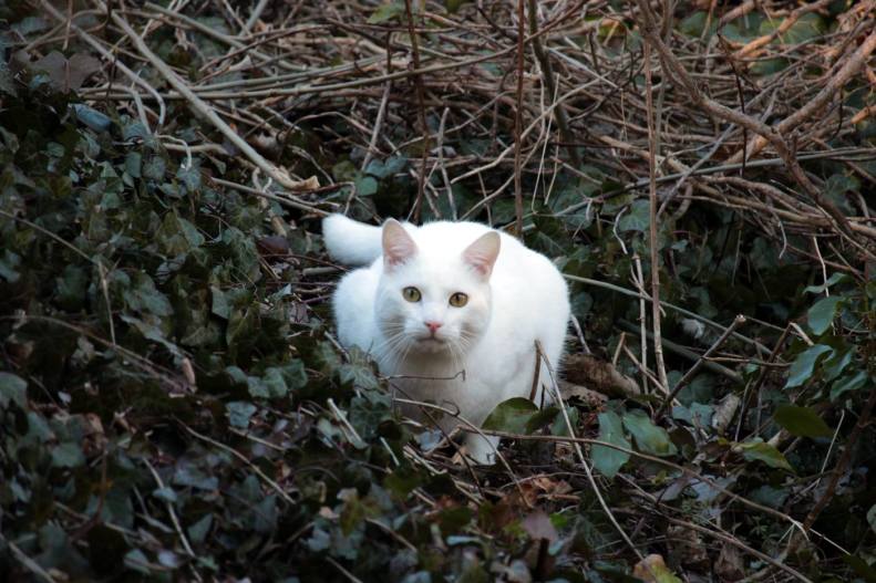 27983132_10155665876808025_8279491135056140454_o