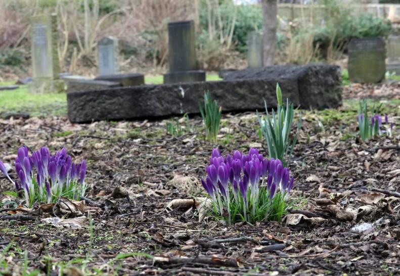 27983172_10155666427888025_8373327324698971323_o