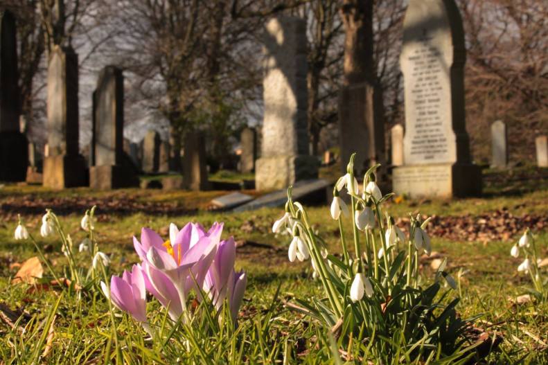 27983501_10155661173953025_555891212818514910_o