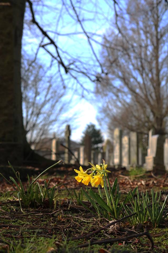 28058366_10155679704138025_5737039826128022339_n