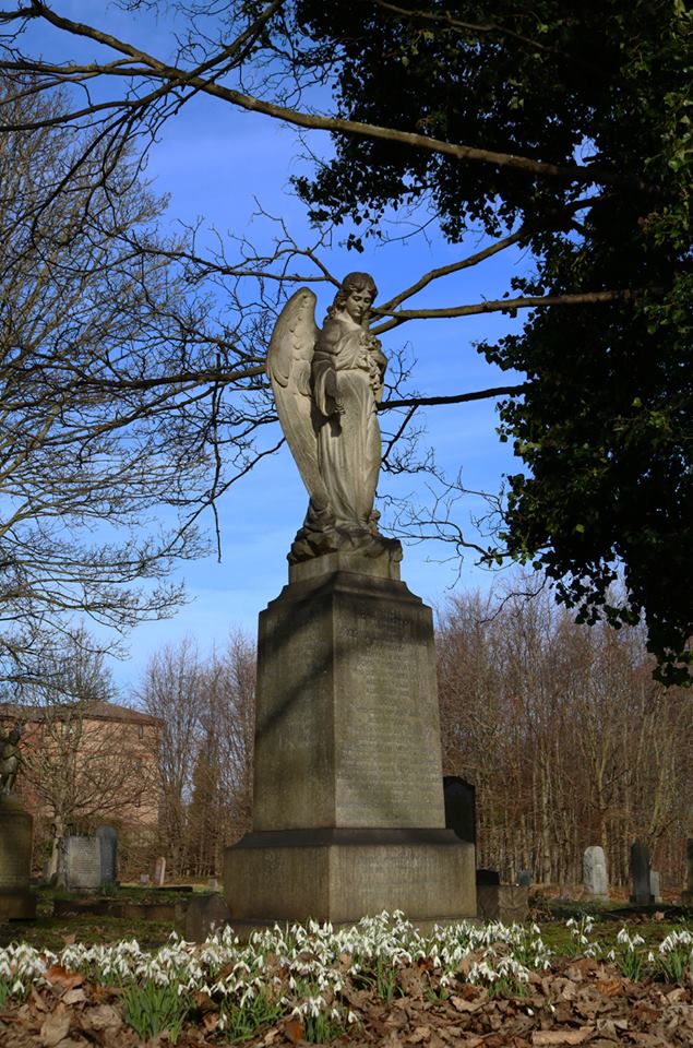 28059482_10155679704188025_4820354451175053732_n