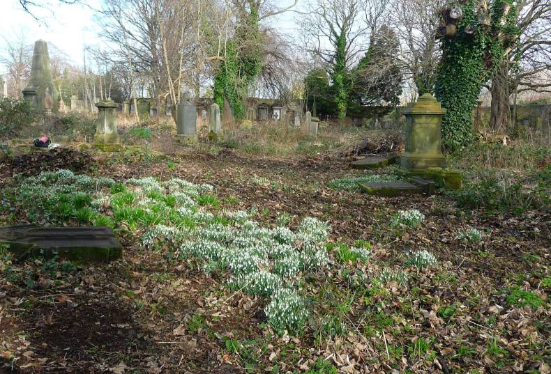 28061472_1864620913557661_8395307149671012011_o