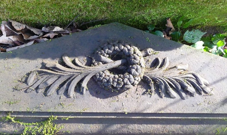 28061646_1864624403557312_3638679426878190468_o