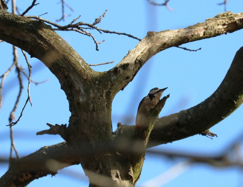 28070504_10155673521133025_4597129286925395693_o