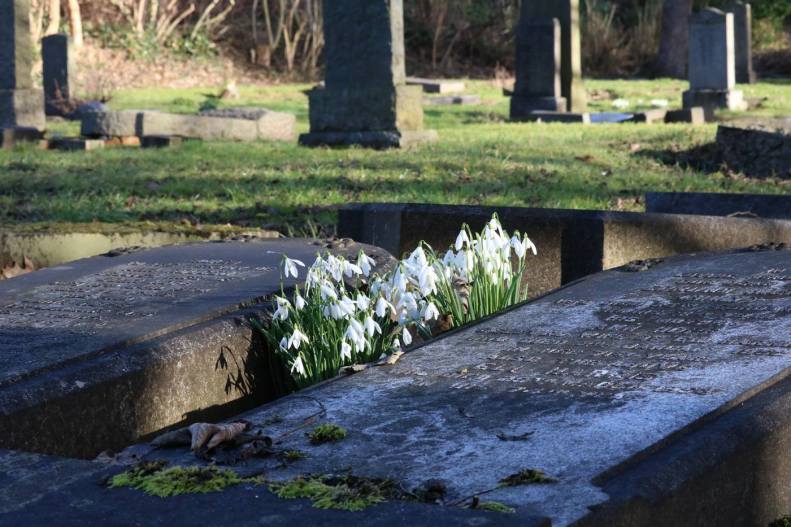 28070512_10155673520798025_8800591046926441502_o