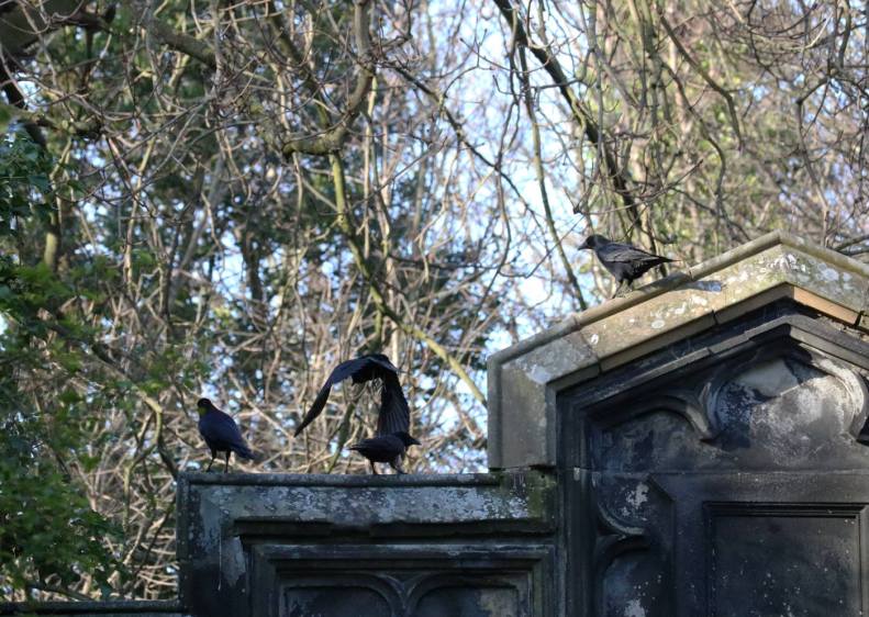 28161594_10155673521413025_1379897357497403621_o