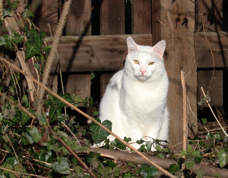 28161965_10155673521003025_4811458658635289135_o