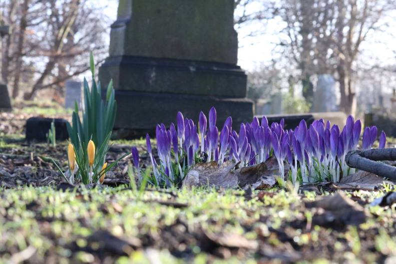 28238228_10155673520823025_6760811069969996390_o