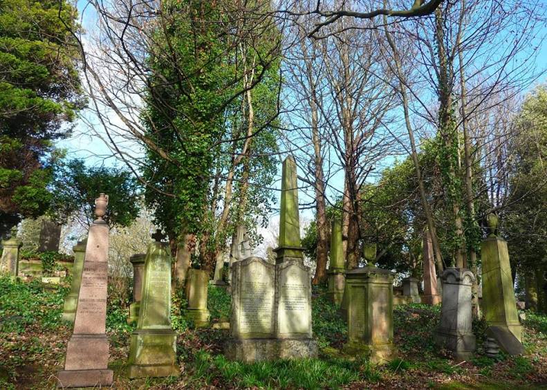 28277074_1868353396517746_1343872744389817975_n