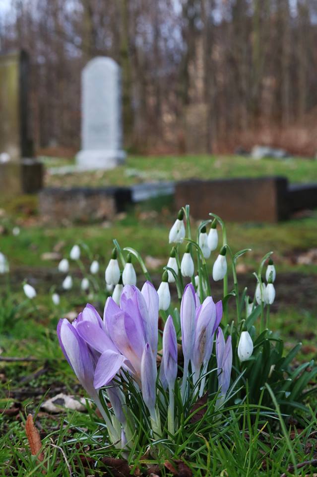 28279044_10155686662193025_5196980480880956455_n